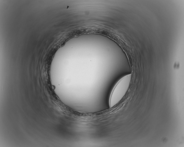 X0000096940771200802080858