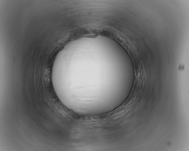 X0000096940772200802080857