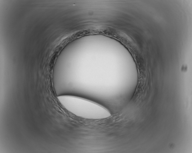 X0000096940773200802080857