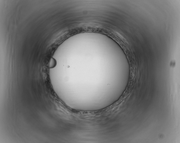 X0000096940774200802080857
