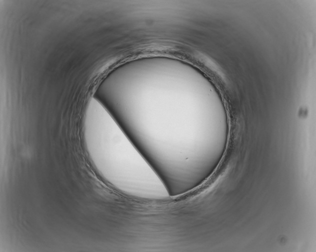 X0000096940777200802080857