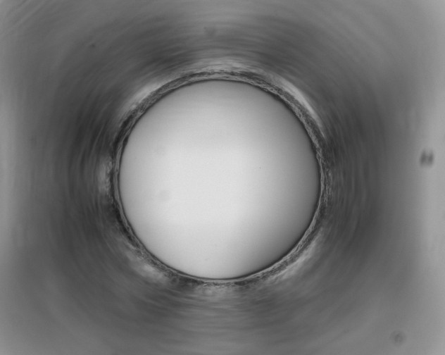 X0000096940778200802080857