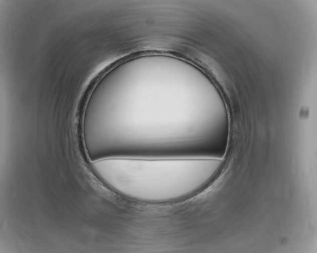 X0000096940779200802080857