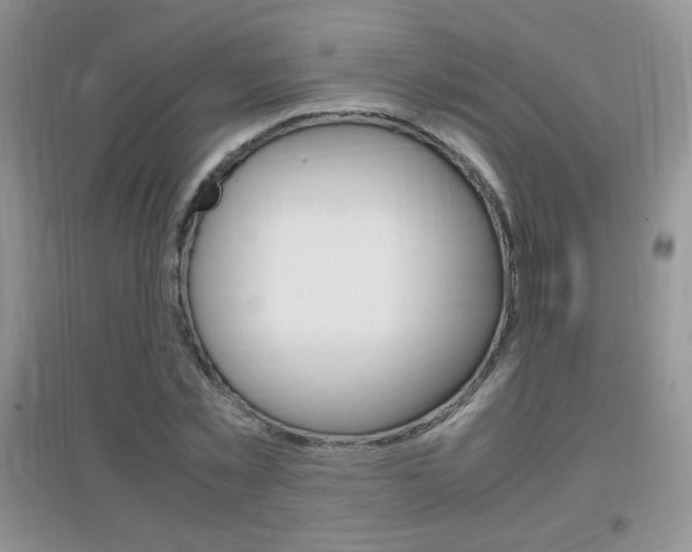 X0000096940781200802080857
