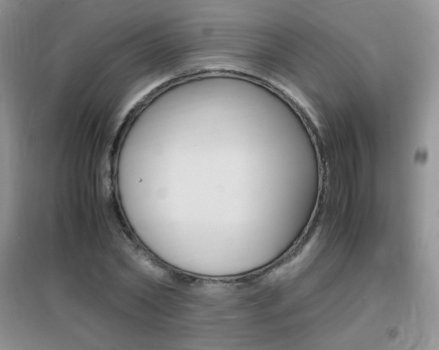 X0000096940782200802080857