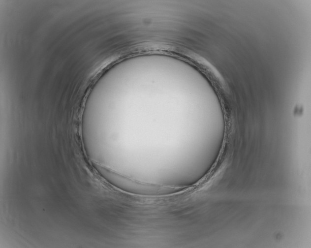 X0000096940785200802080857