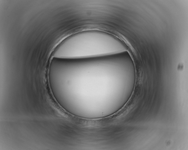 X0000096940786200802080857