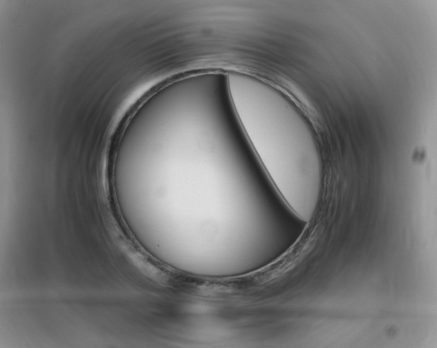 X0000096940788200802080857