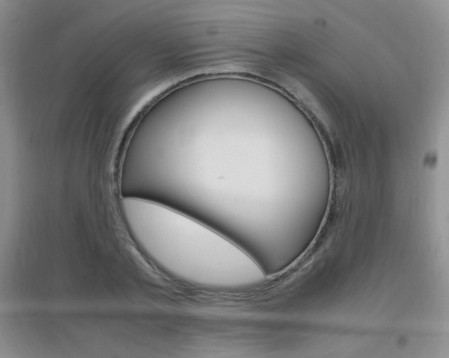 X0000096940789200802080857