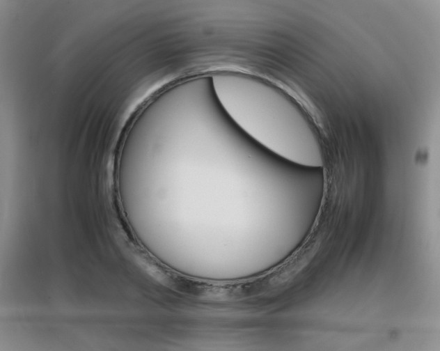 X0000096940790200802080857