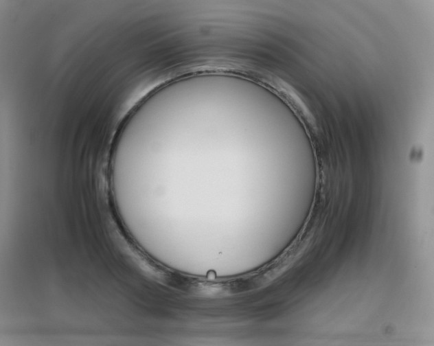 X0000096940794200802080857