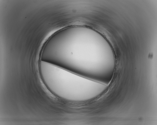 X0000096940795200802080857