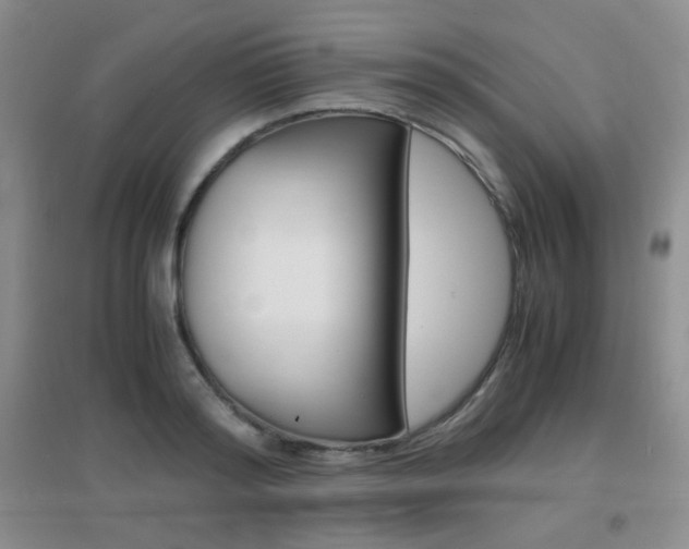 X0000096940796200802080857