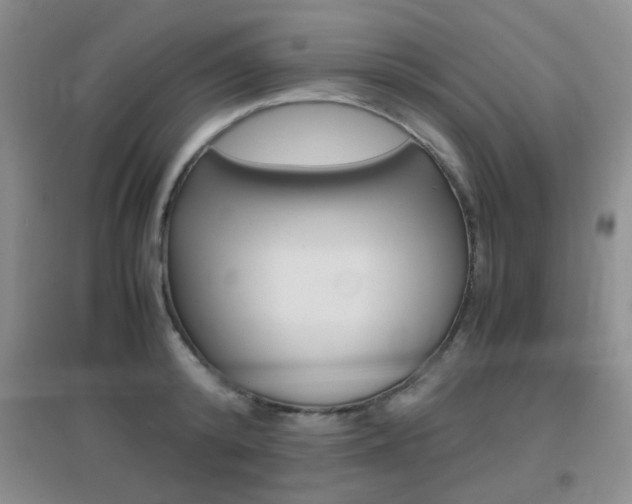 X0000096940800200802080857