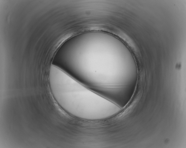 X0000096940801200802080857