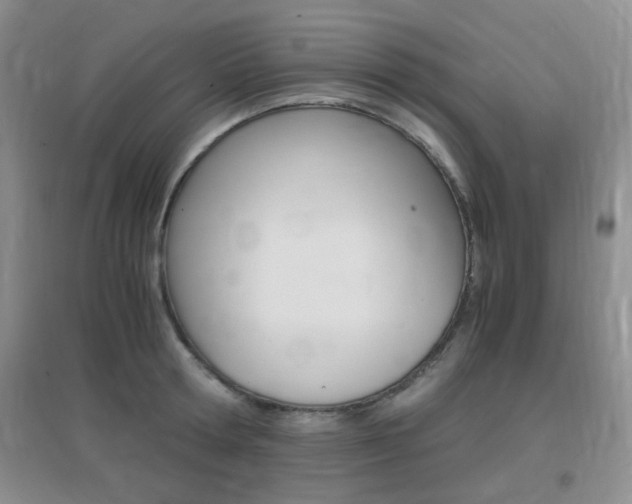 X0000096940802200802080857
