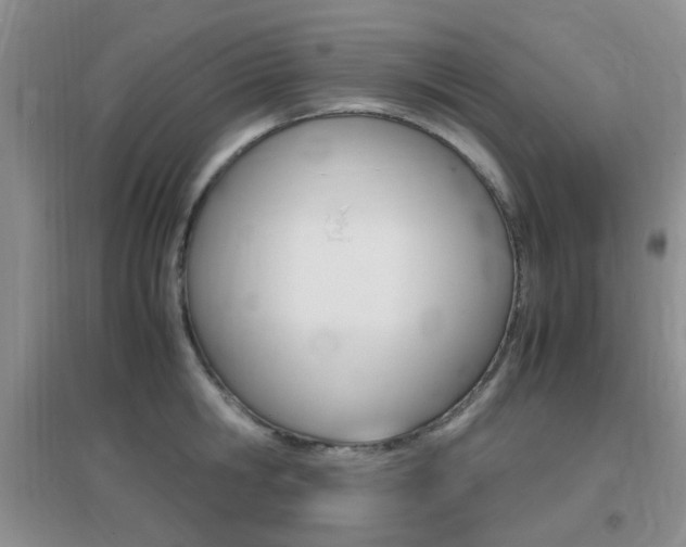 X0000096940806200802080857