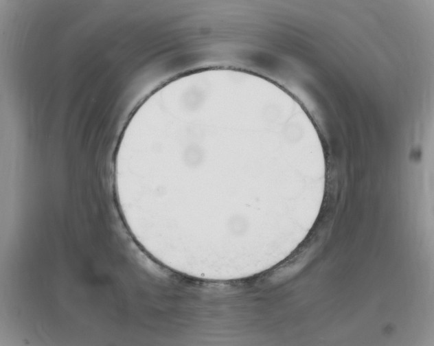 X0000096940807200802080857