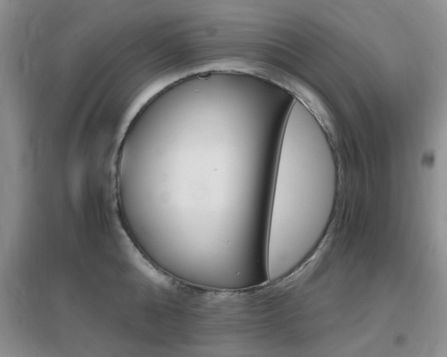 X0000096940808200802080857