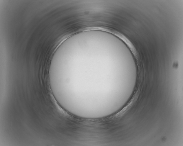 X0000096940809200802080857