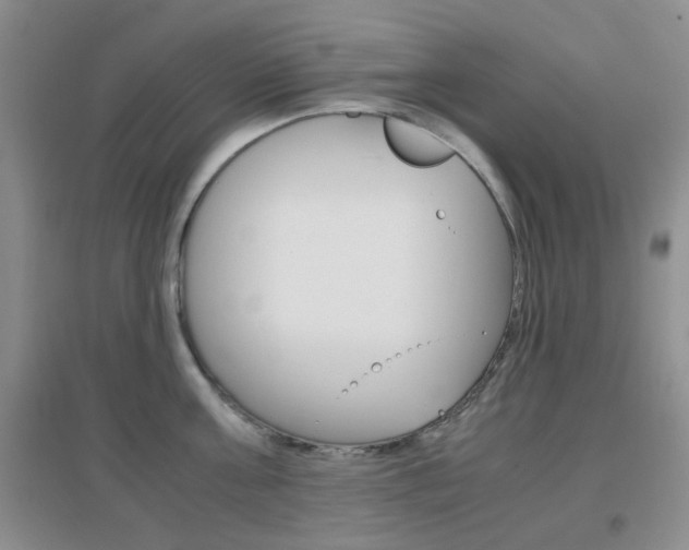 X0000096940811200802080857
