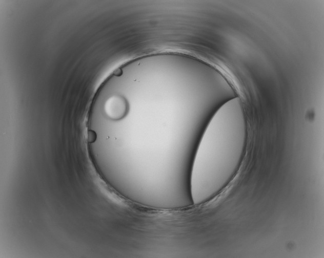 X0000096940814200802080857