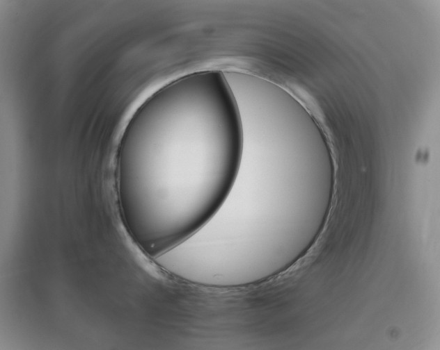 X0000096940816200802080857