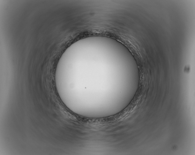X0000096940817200802080856