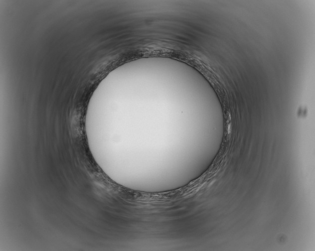 X0000096940819200802080856