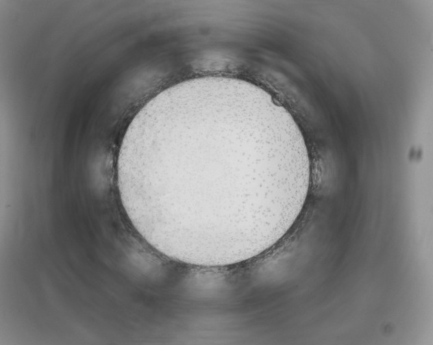X0000096940820200802080856