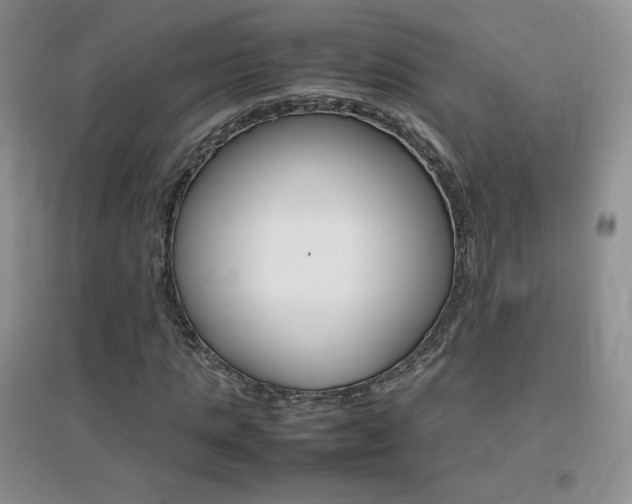X0000096940821200802080856
