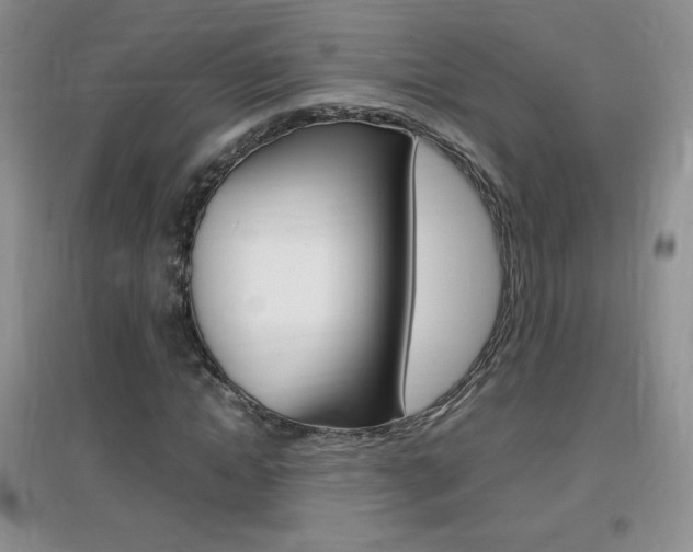 X0000096940822200802080856