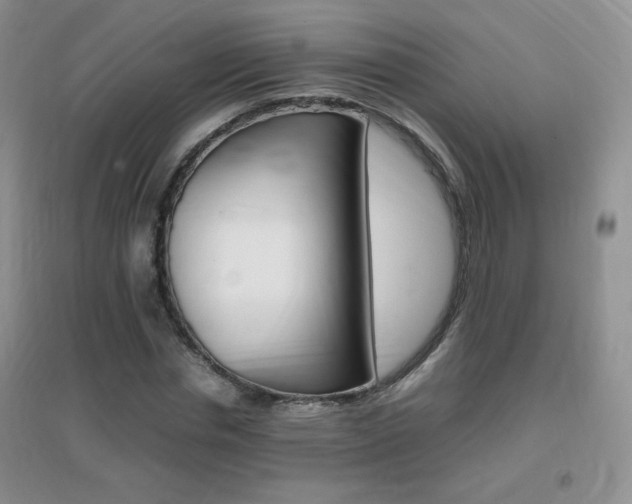 X0000096940826200802080856