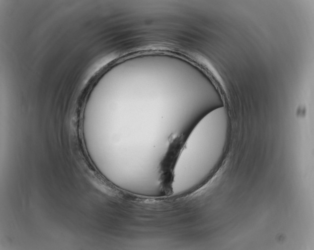 X0000096940827200802080856
