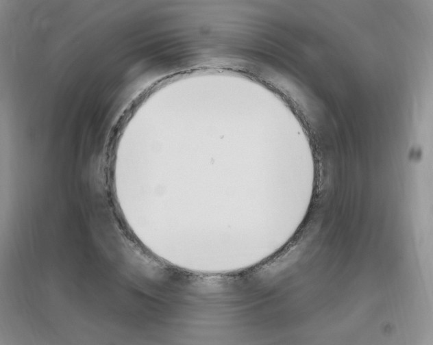 X0000096940828200802080856
