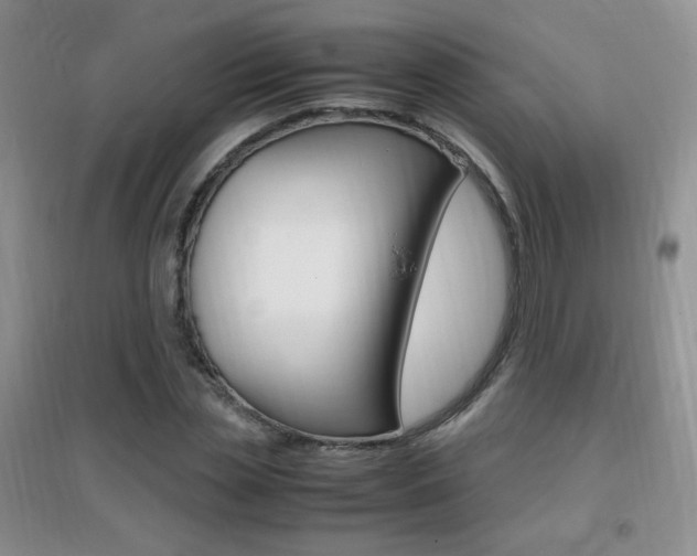 X0000096940829200802080856