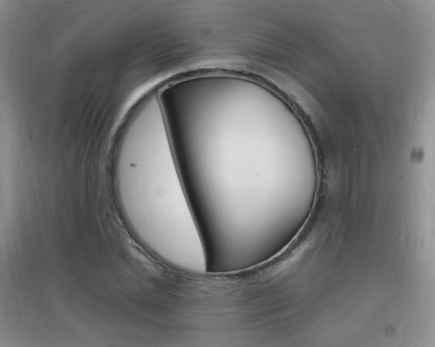 X0000096940830200802080856