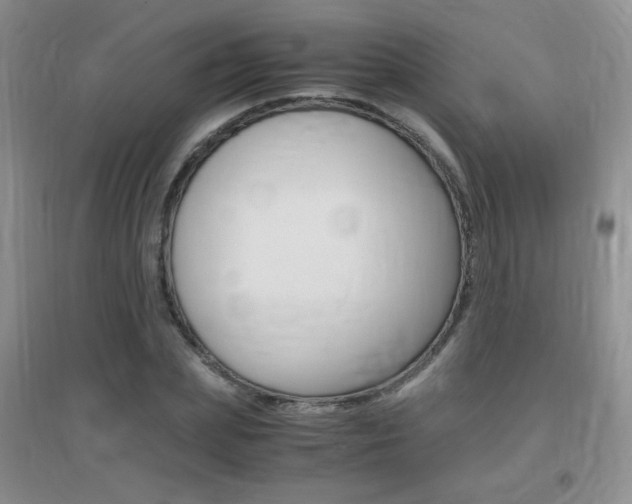 X0000096940831200802080856