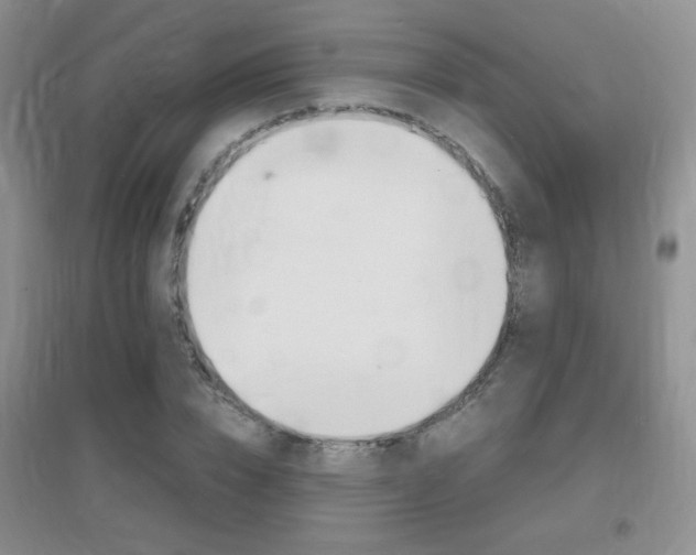 X0000096940832200802080856
