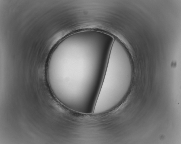 X0000096940834200802080856
