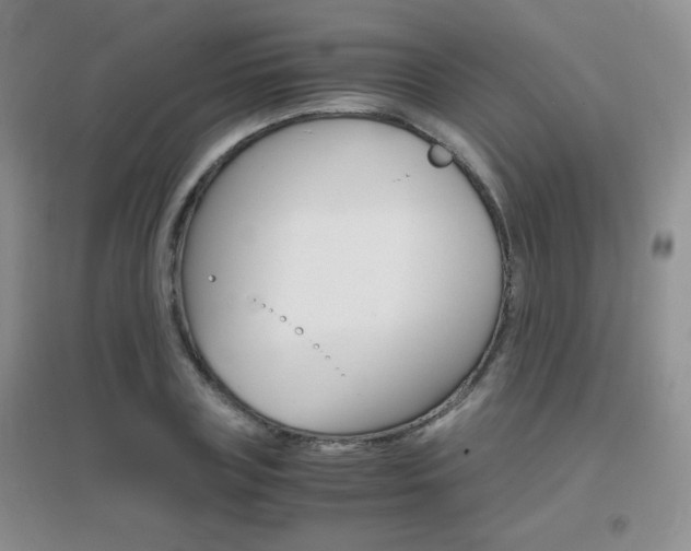 X0000096940835200802080856