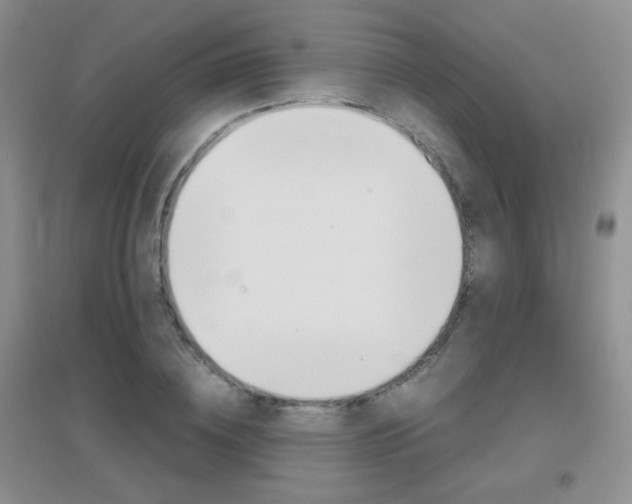 X0000096940836200802080856
