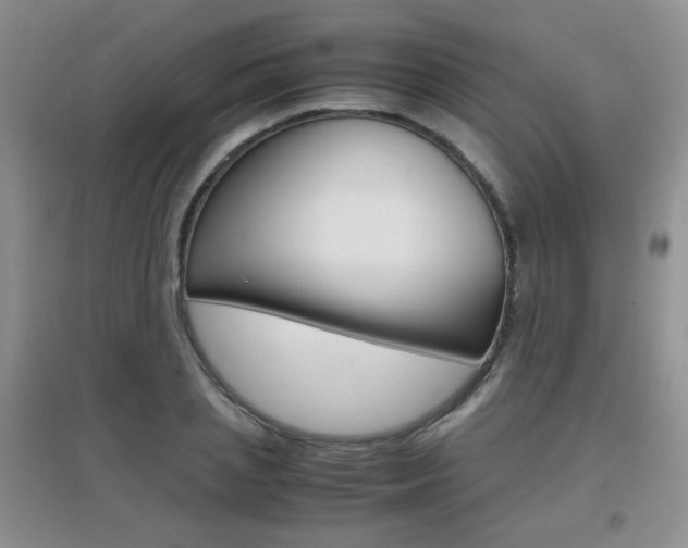 X0000096940837200802080856
