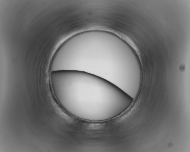 X0000096940839200802080857