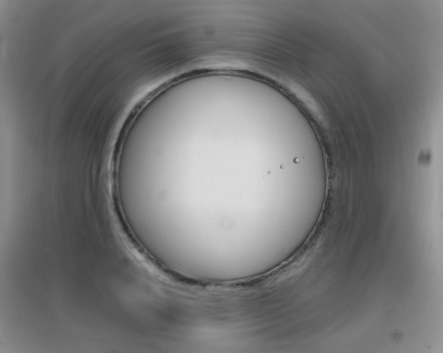 X0000096940840200802080857