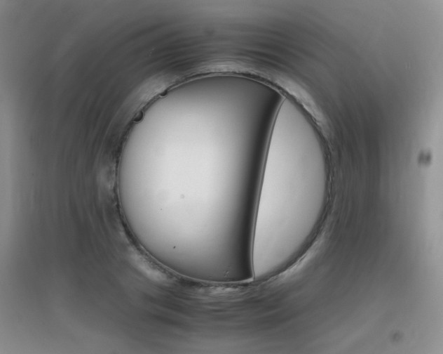 X0000096940841200802080857