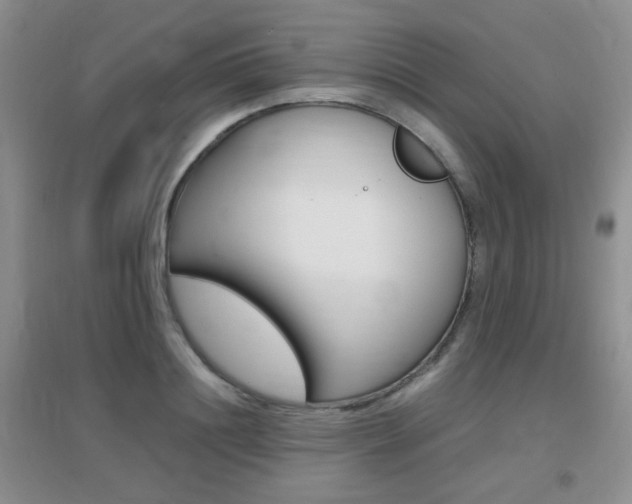 X0000096940844200802080857