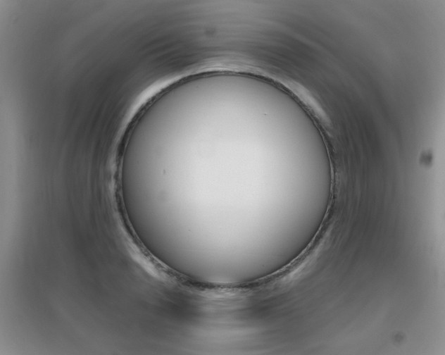 X0000096940846200802080857