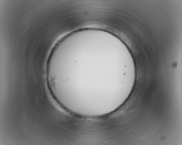 X0000096940848200802080857