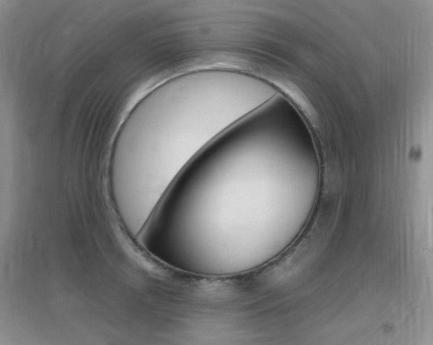 X0000096940850200802080857